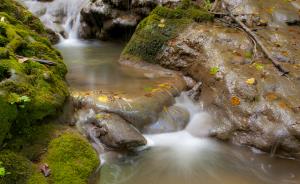 Divji  Potok, foto: Zvone Butala